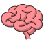 Neuropsicología